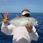 Fish Naples Florida