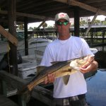 Fish Naples Florida