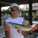 Fish Naples Florida